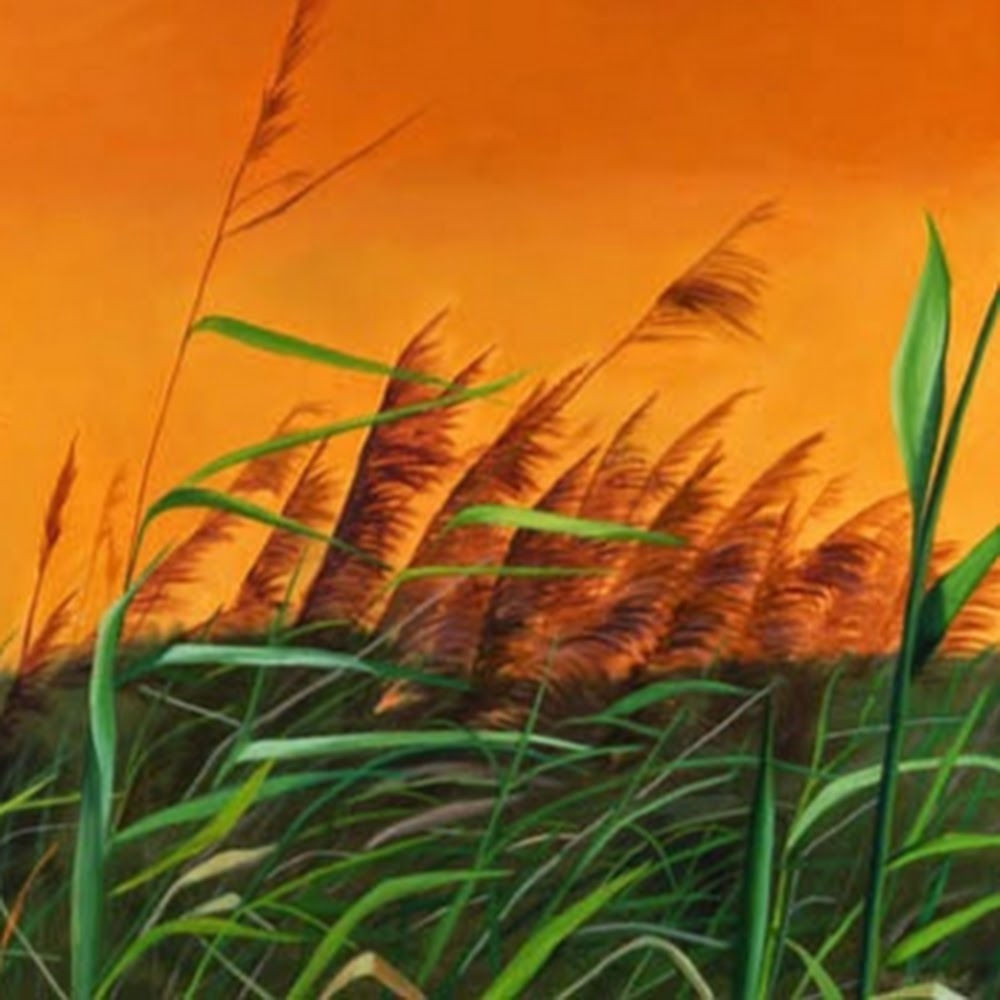 Meet your Posher, Apoorva